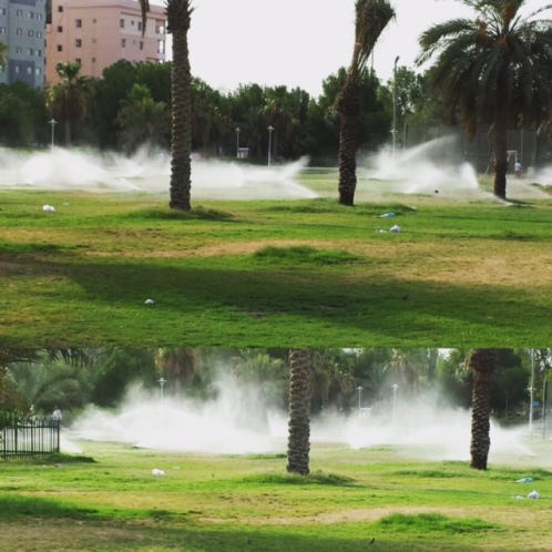 sprinkler water kuwait garden heat summer hottest